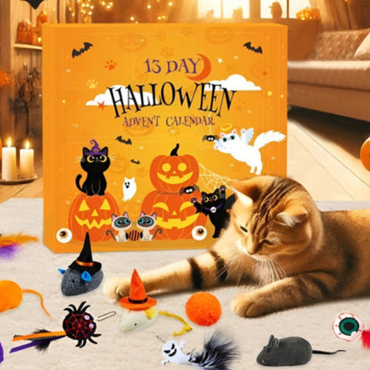 Katzen Adventskalender